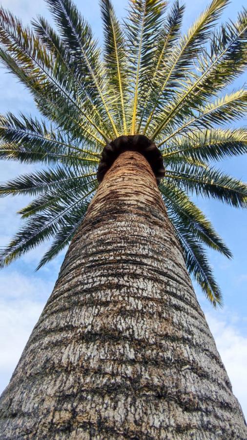 Finca Verde リュックマヨール エクステリア 写真